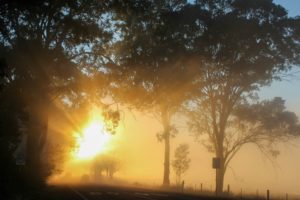 理由のないモヤモヤ。その「漠然とした不安」を安心に変えるヒント